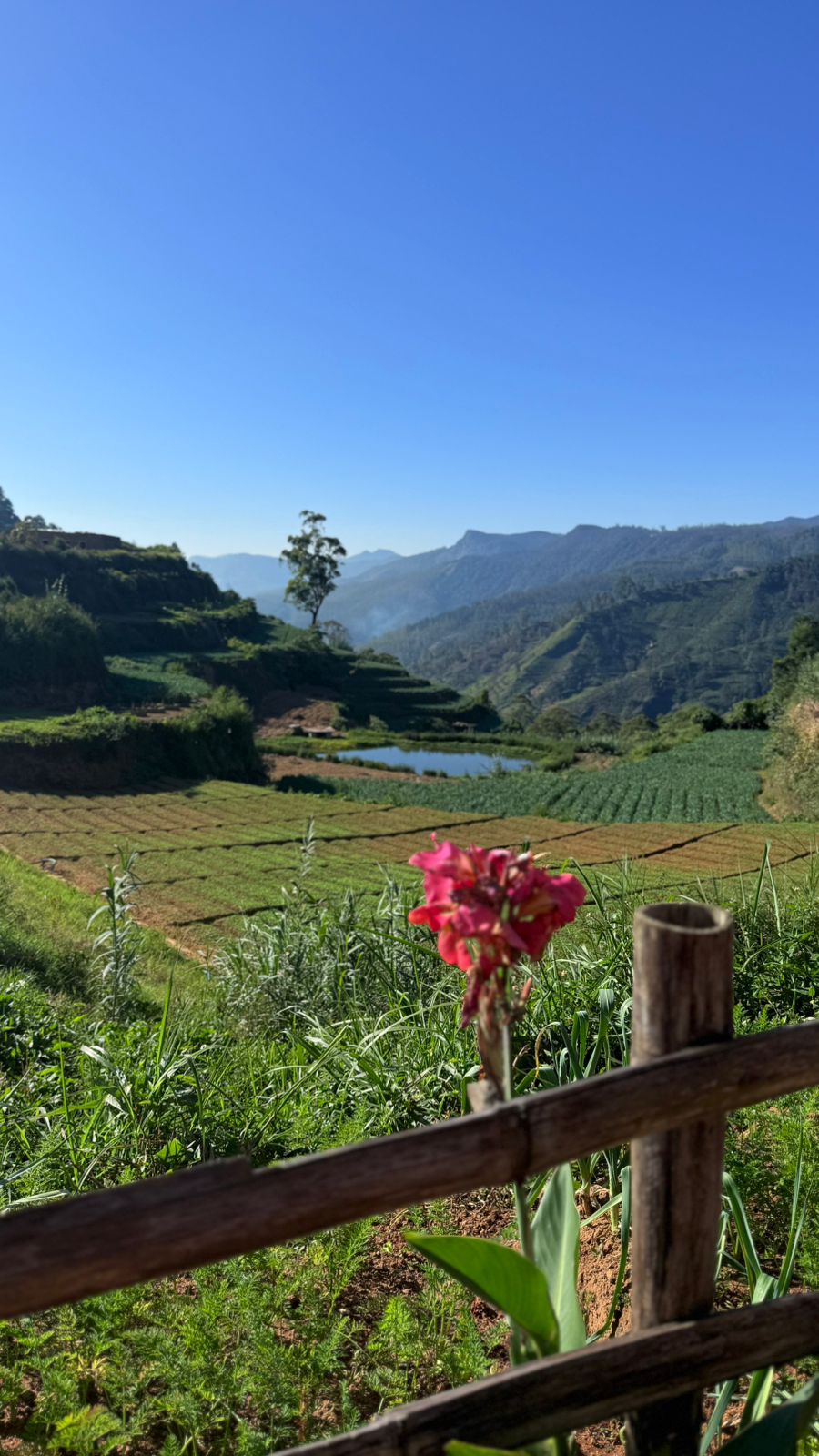 Scenic Nature Views in Sri Lanka